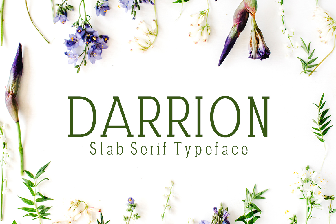 Darrion: A Slab Serif Typeface for Bold Web Design