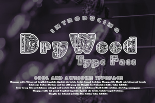 DryWood Font: The Decorative Typeface for Scroll-Stopping Marketing