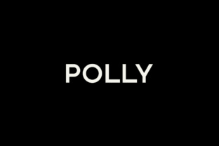 Polly Font: The Minimal Sans Serif for Modern Makers