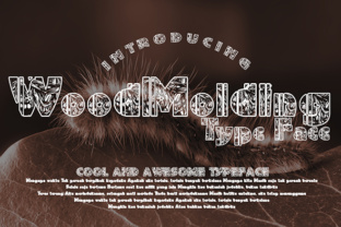 WoodMolding: A Decorative Typeface for Editorial Design